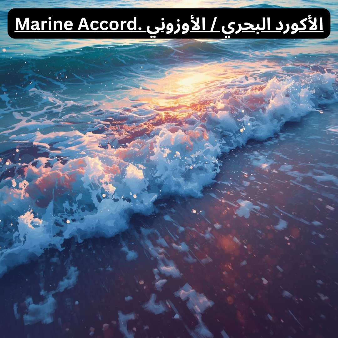 Accord Marin