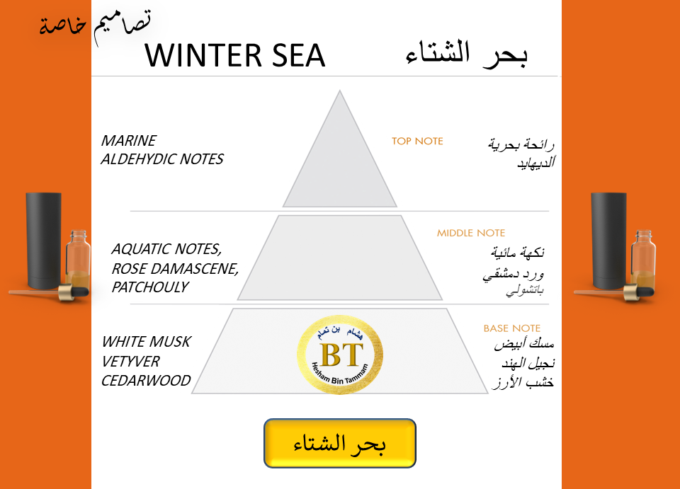 WINTER SEA